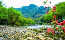 水墨汀溪风景区-泾县-吴立珍