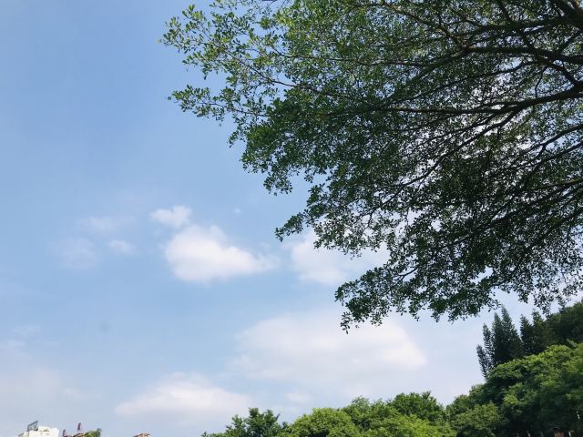 石门公园旅行图片 2