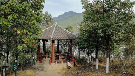 寶龍山