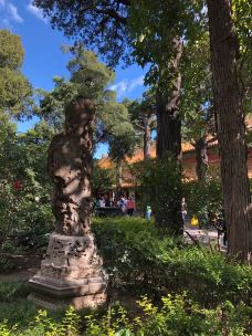 御花园-北京-渊渊火龙果