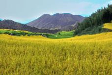 欧家梯田-连山-C-IMAGE