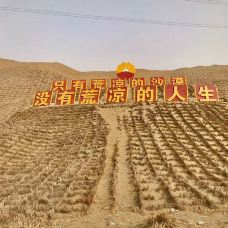 塔里木沙漠公路-且末-开心果69