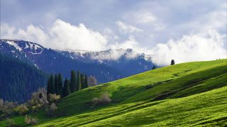 800元往返新疆！  来那拉提大草原吧，这估计是最抄底的好时机