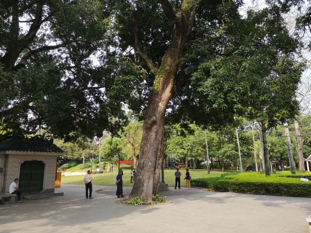 芝山公园旅行图片 1