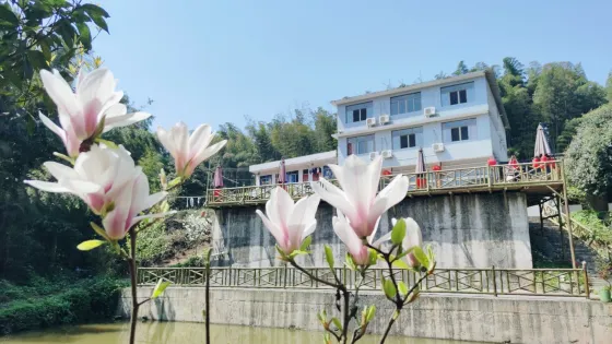 仙寓洞
