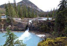 Natural Bridge-Linn Creek Township-Todemmy