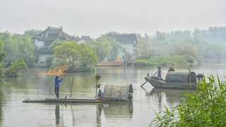听说，去过这片芦苇荡湿地的，都是快乐的归人