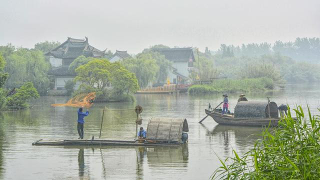 听说,去过这片芦苇荡湿地的,都是快乐的归人
