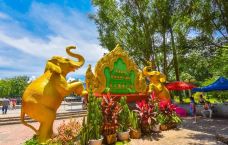 曼听御花园-景洪-恰似您的温柔