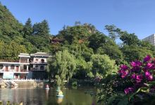 桃花公园景点图片