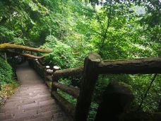 綦江古剑山风景区-重庆-噼里啪啦