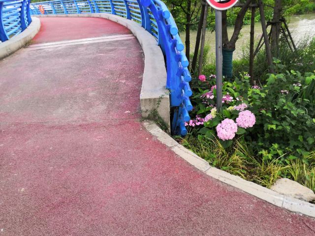 河畔公园旅行图片 3