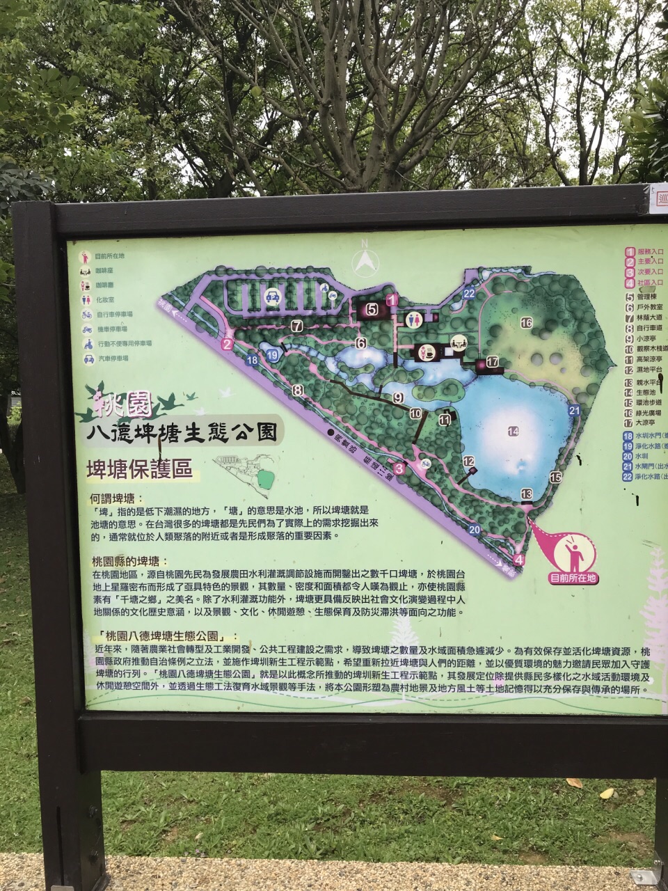 台湾游-桃园八德埤塘生态公园