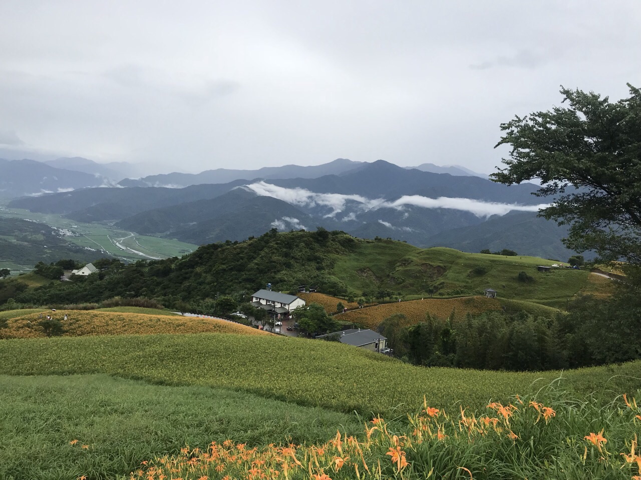 花東縱谷，美不勝收，台灣自由行，請跟我走