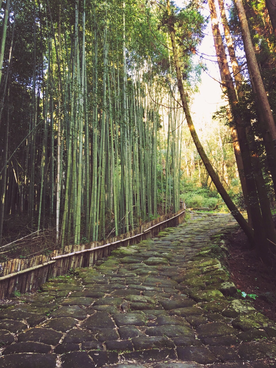 龍門司坂 和 龍門滝