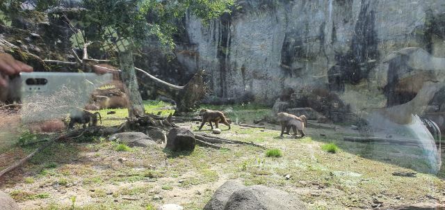 Taipei Zoo