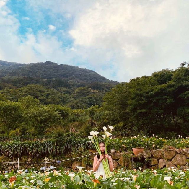 陽明山國家公園