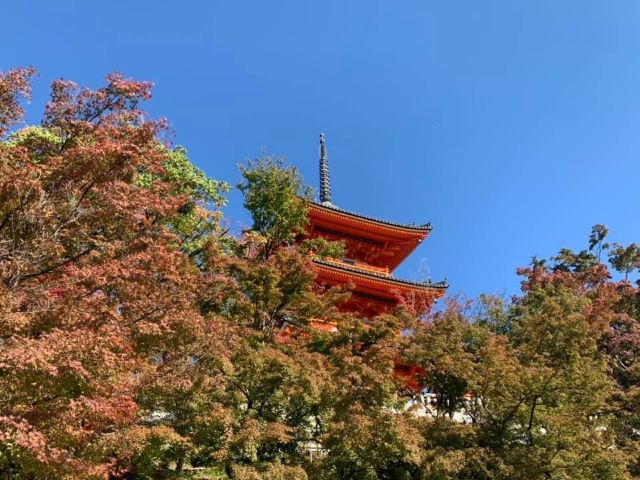 嵐山