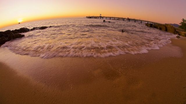 Palm Cove