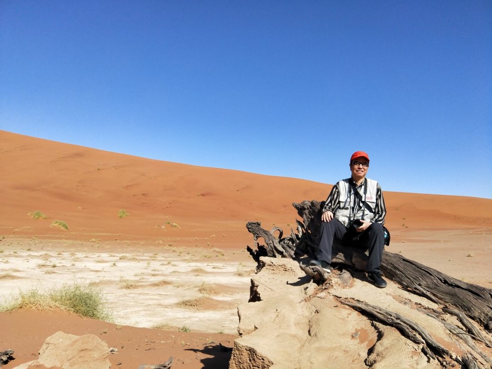 纳米比亚的红沙丘