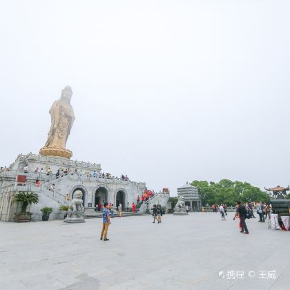 浙江普陀山+洛迦山3日2晚私家团