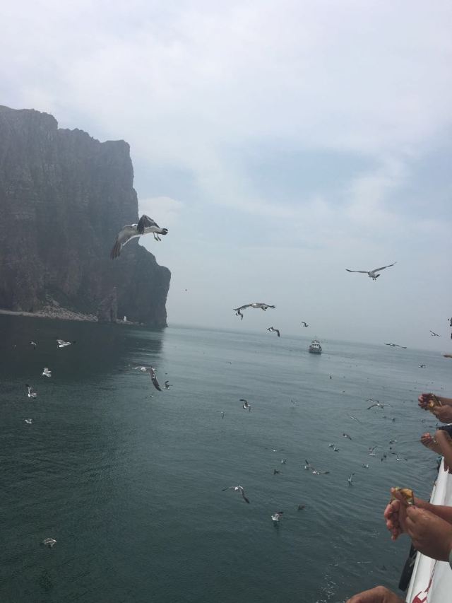 완냐오다오(만조도)