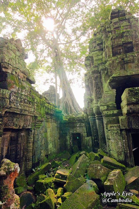 Ta Prohm
