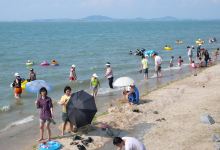 조금나루해수욕장景点图片