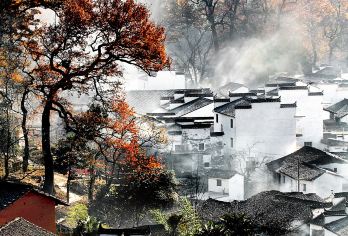 婺源风景区一日游【东线】【婺源县城免费上门接送，出行无忧。】