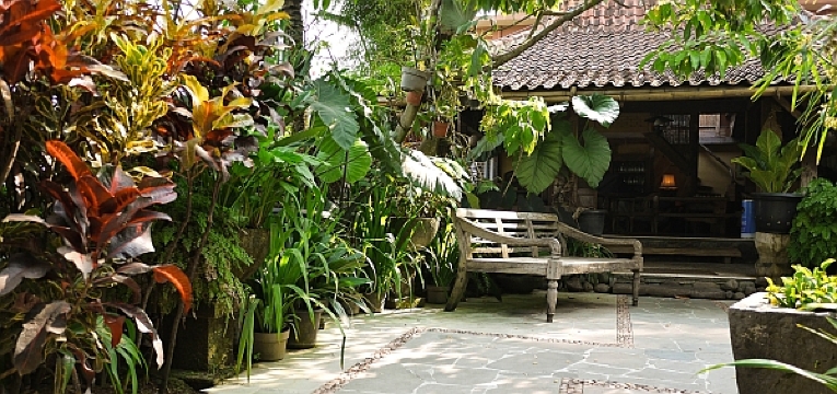 Warung Lela餐厅图片