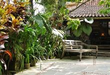 Warung Lela美食图片