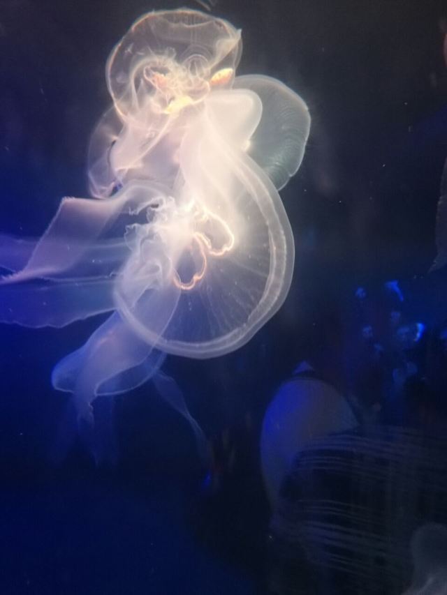 칭다오 해저세계