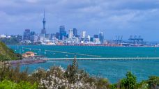 教会湾-奥克兰-doris圈圈