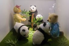 中国泰迪熊博物馆-成都-doris圈圈