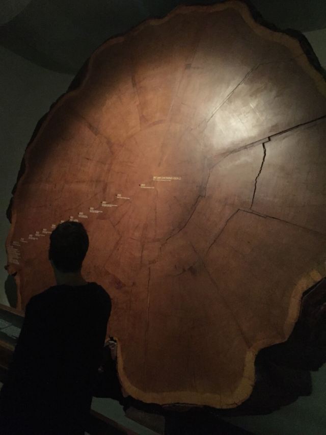 American Museum of Natural History