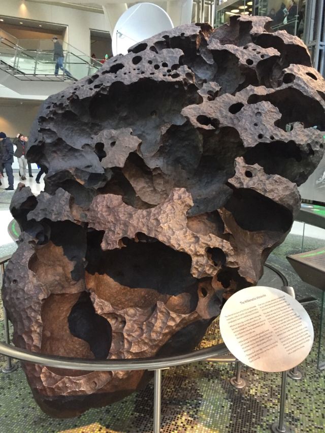 American Museum of Natural History