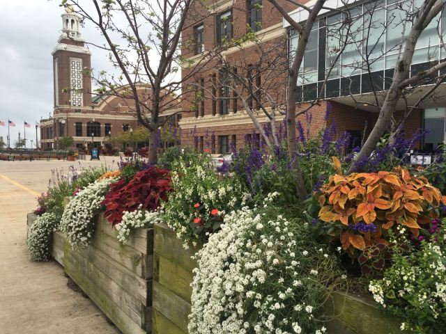 Navy Pier