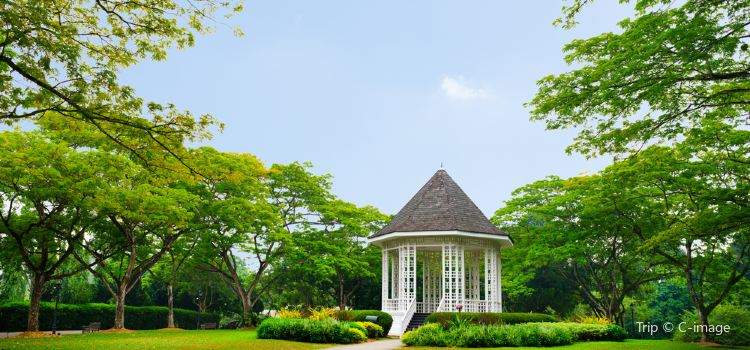 Botanical Garden Botanischer Garten Travel Guidebook Must Visit