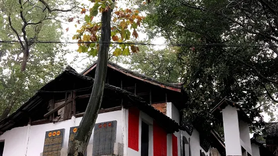 苗王廟