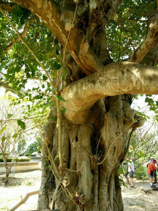 Choeung Ek
