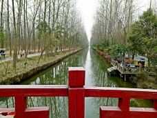 滨湖国家森林公园-合肥-ZZJ思由跋