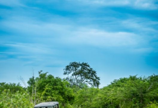 努沃勒埃利耶区旅游图片-高山茶园5日游