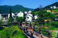 雁南飞茶田景区-桥溪古韵-梅州-懟懟