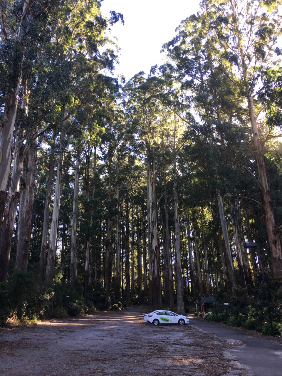 墨尔本东郊山顶公园