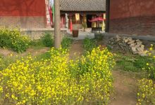 青龙湖景区景点图片