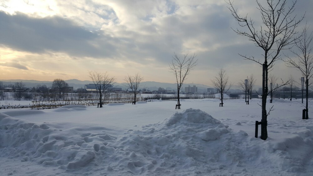 安静的旭川，遗憾没有呆上几天…南方人很珍惜可以看到雪的机会