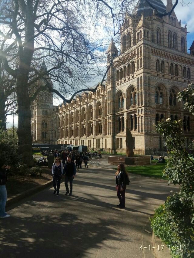 Natural History Museum