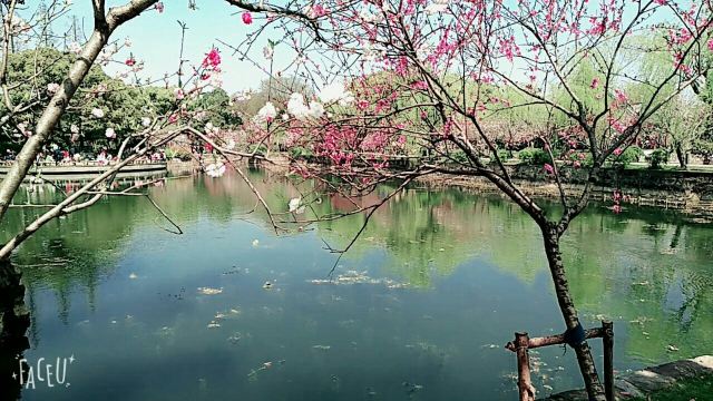 려원