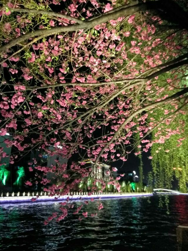 Yangzhou Ancient Canal