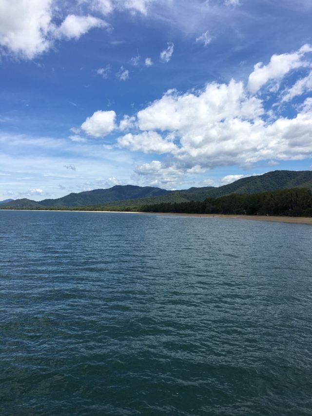 Palm Cove